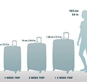 Amazon Basics Ripstop Wheeled Duffel, 35″, Black